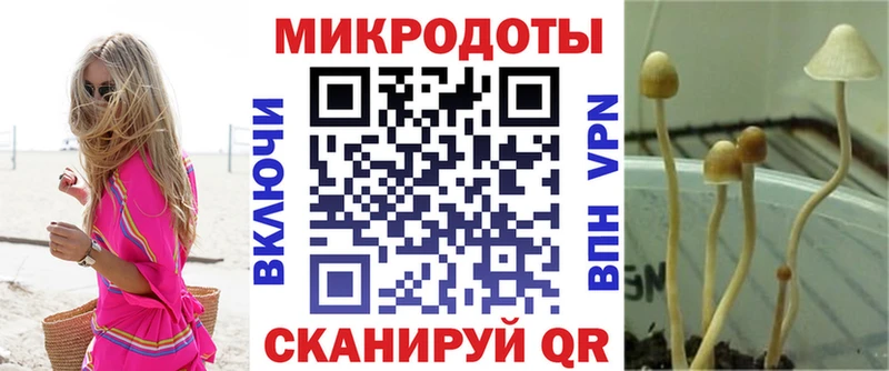 Псилоцибиновые грибы Magic Shrooms  гидра сайт  Краснотурьинск 